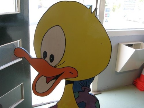 Eendje vissen - Eendje 